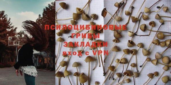 spice Балахна