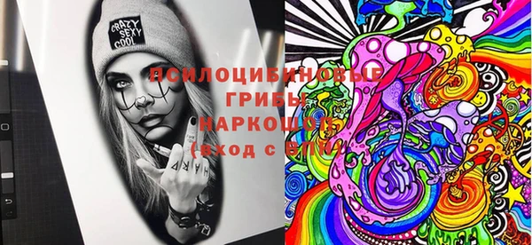 круглые Белокуриха