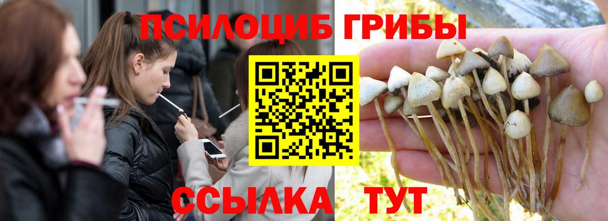 Галлюциногенные грибы MAGIC MUSHROOMS  Псилоцибиновые грибы ЛСД  Вход с VPN  Бутурлиновка 